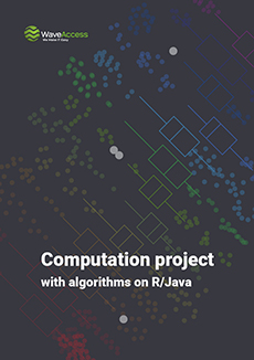 Computation-project-with-algorithms-on-r_java
