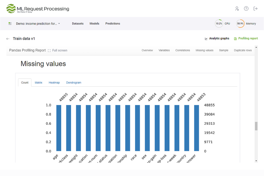 Profiling Report Overview