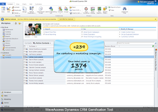 Microsoft CRM Gamification